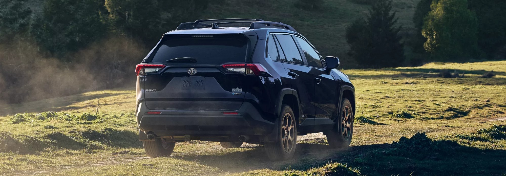 2025 Toyota RAV4 Hybrid for Sale near Cedar Rapids, IA