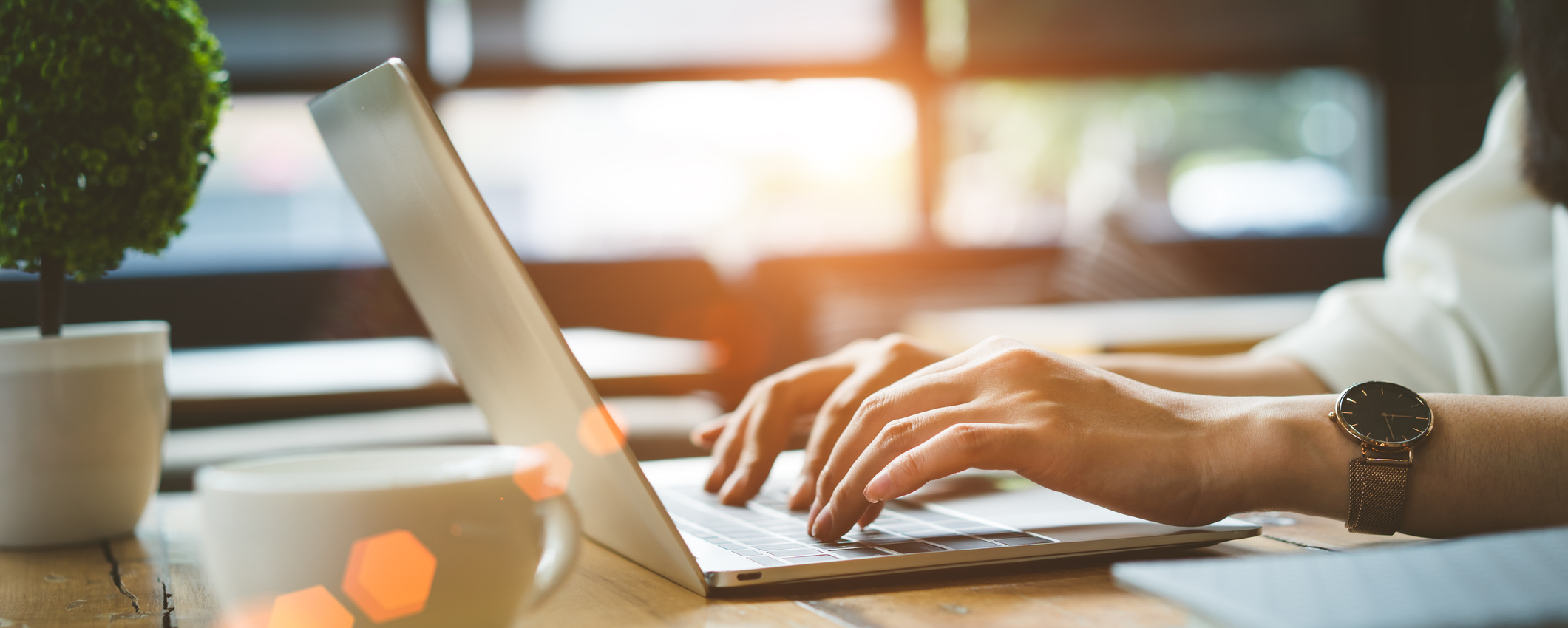 Schedule An Appointment Online Today!