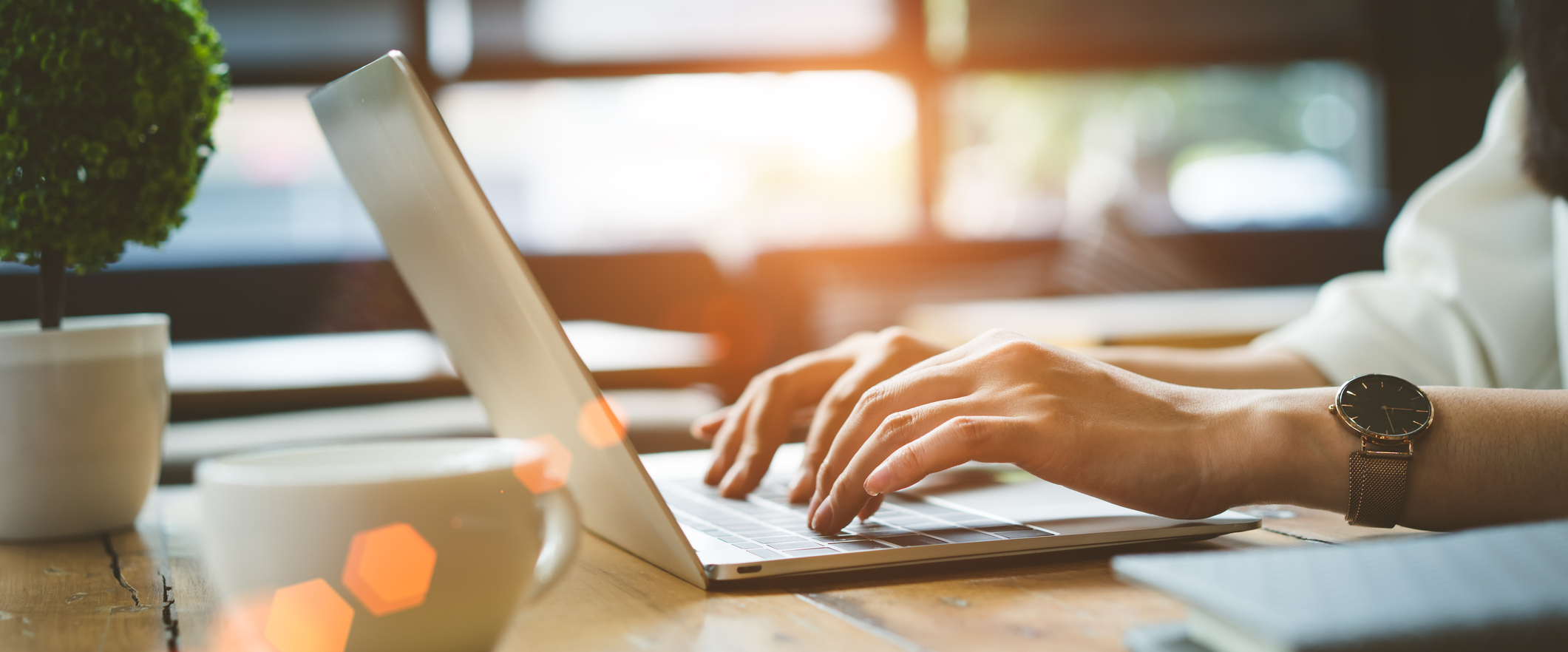 Check Out Our Online Tools!