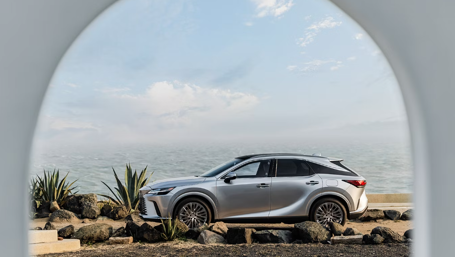 2025 Lexus RX 350 for Sale near Mechanicsville, VA