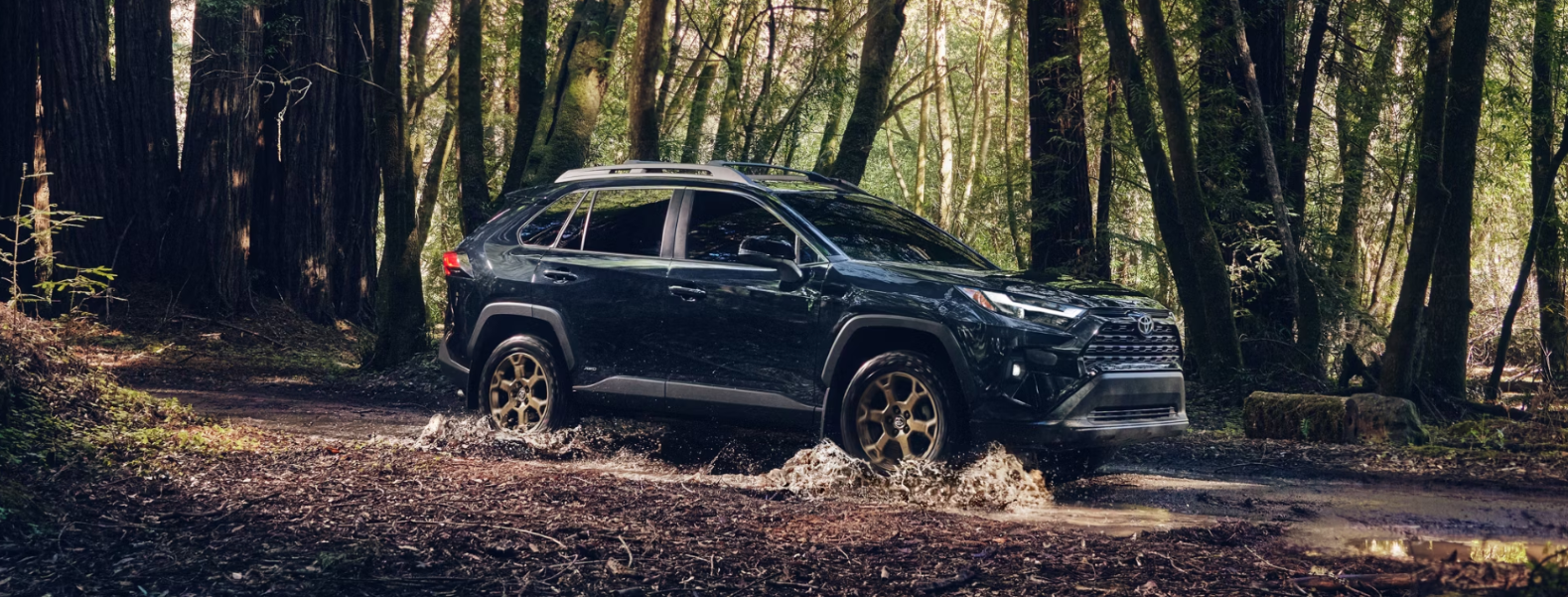 2025 Toyota RAV4 Hybrid for Sale near Elmhurst, IL