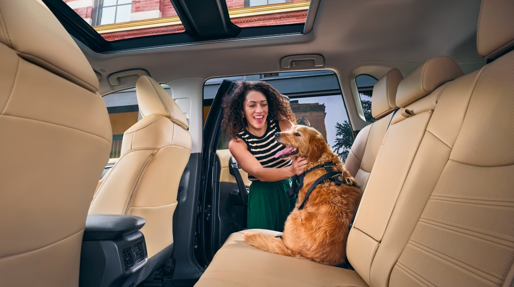 RAV4 Hybrid Rear Seat