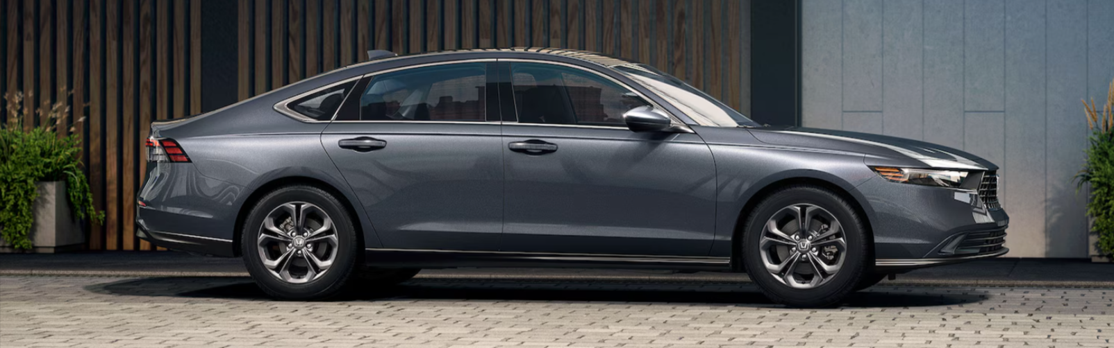 Test Drive a Honda Sedan!