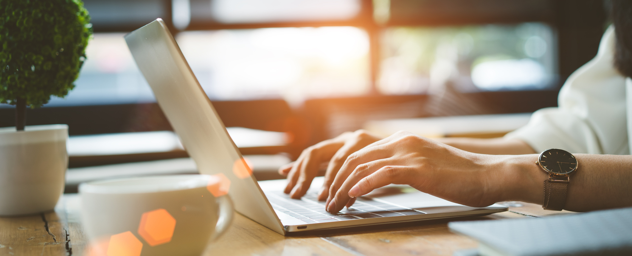 Use Our Inventory Tools to Find a Used Toyota Tacoma!