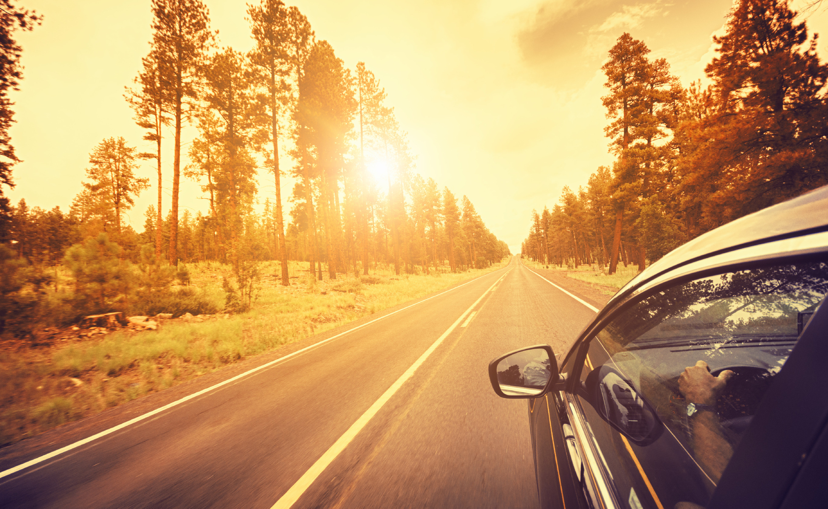Take On the Open Road With a Used Toyota Tacoma!