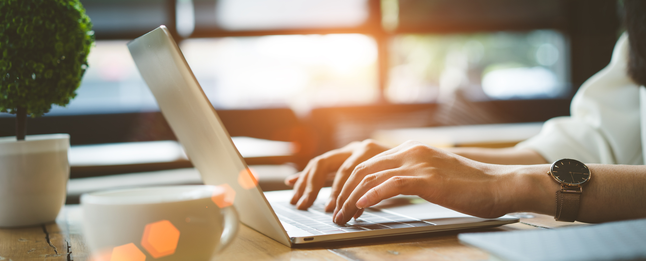 Schedule An Appointment Online Today!