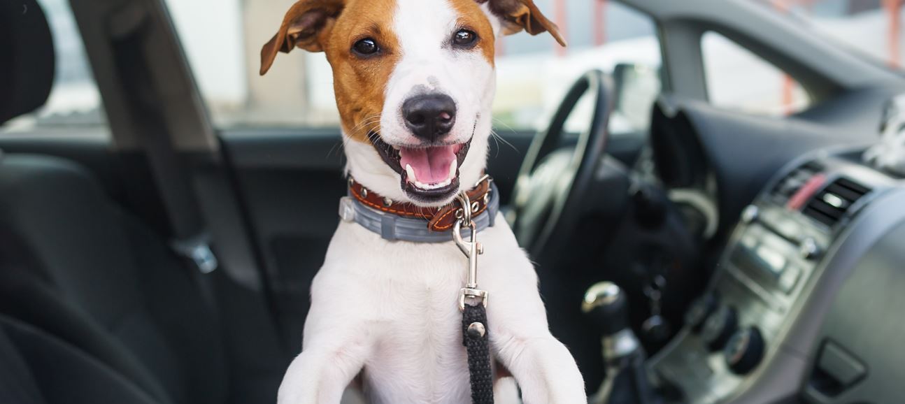 Visit Our Dealership Today!