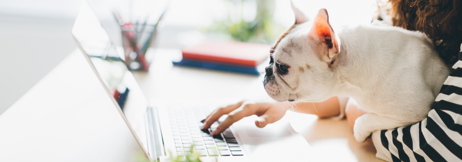 Look Through Our Virtual Tools!