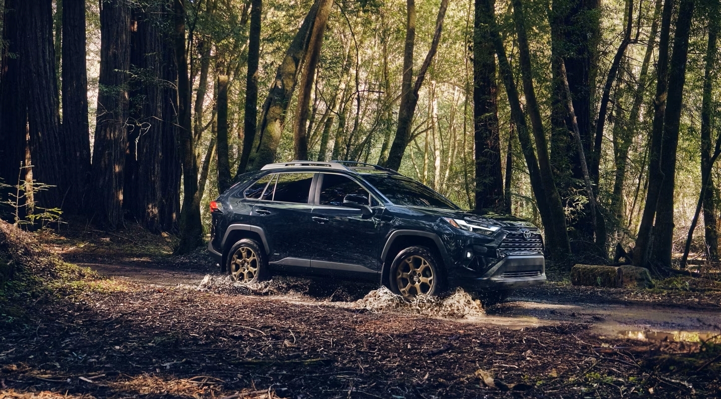 2025 Toyota RAV4 Hybrid Exterior