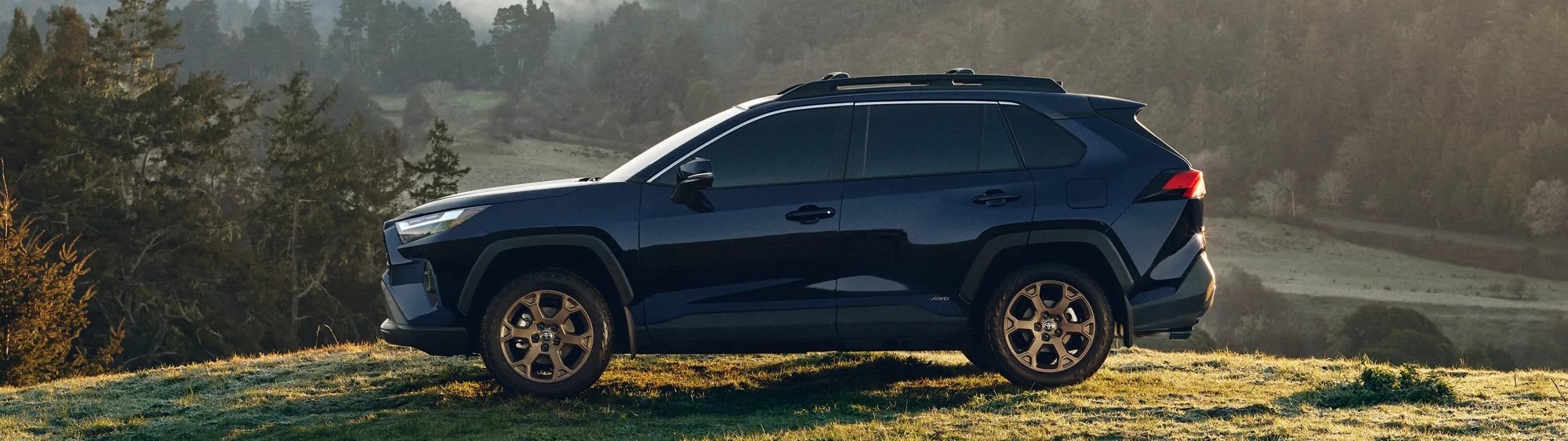 2025 Toyota RAV4 for Sale near Culpeper, VA