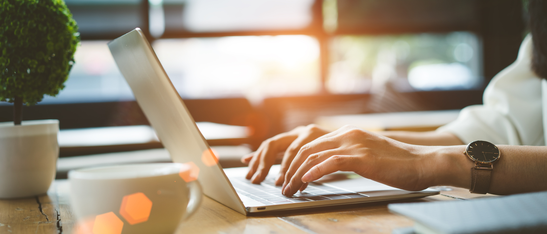 Check Out Our Online Tools!