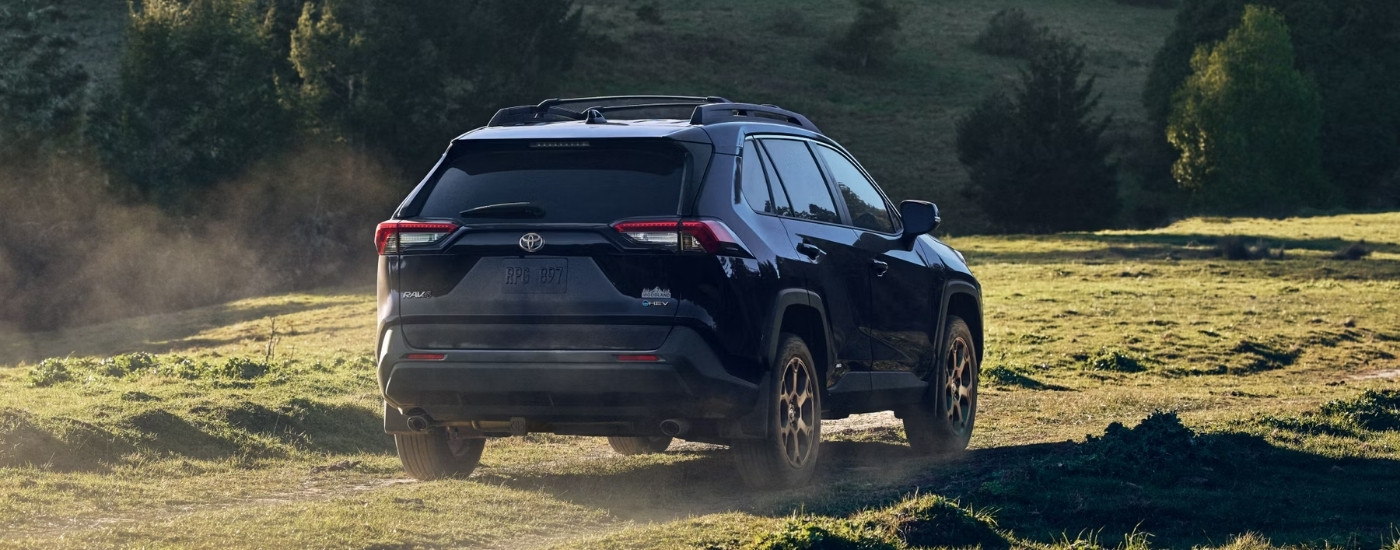 A blue 2025 Toyota RAV4 Hybrid from behind.
