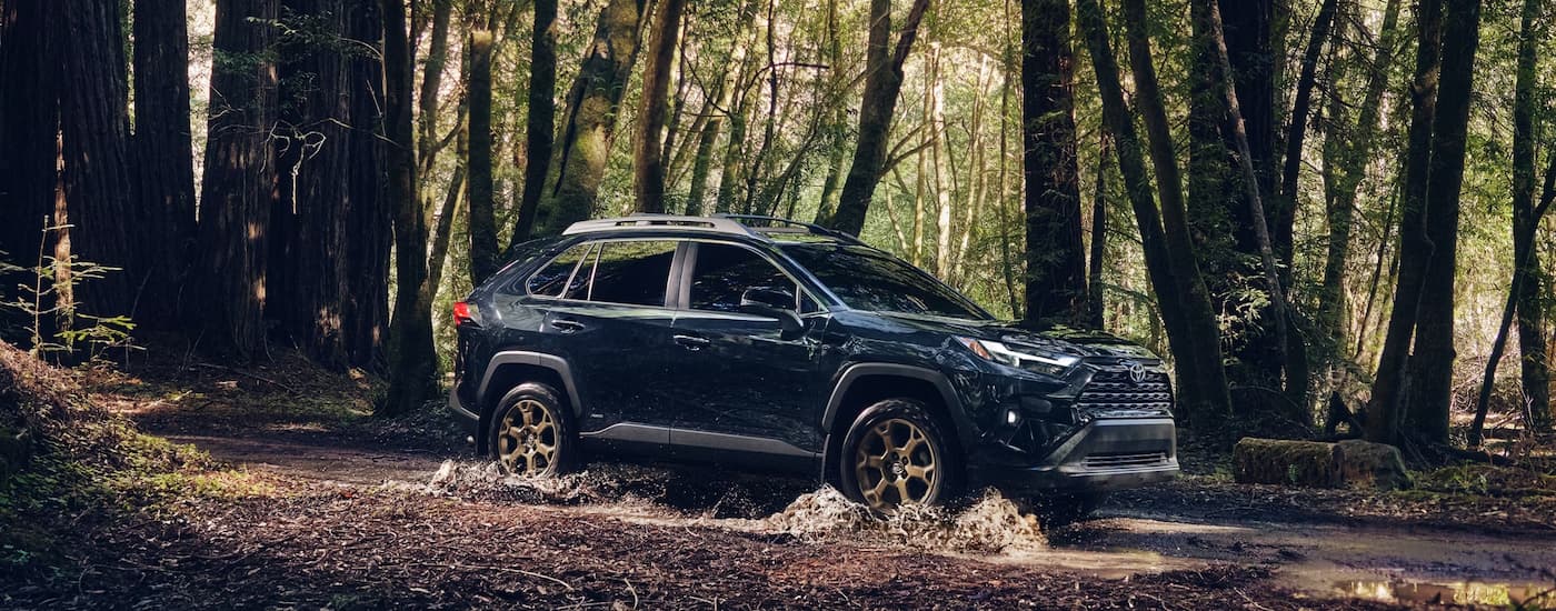 Black 2025 Toyota RAV4 Hybrid off-roading through mud