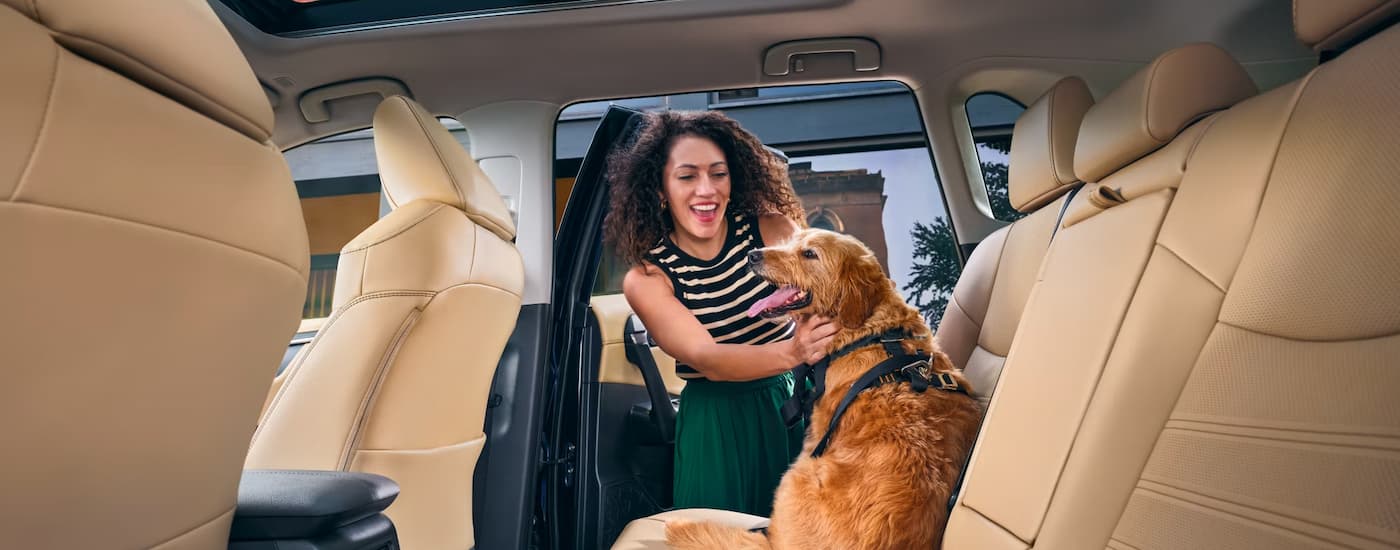 Woman petting her dog in the backseat of a 2025 Toyota RAV4 Hybrid for sale near New Braunfels