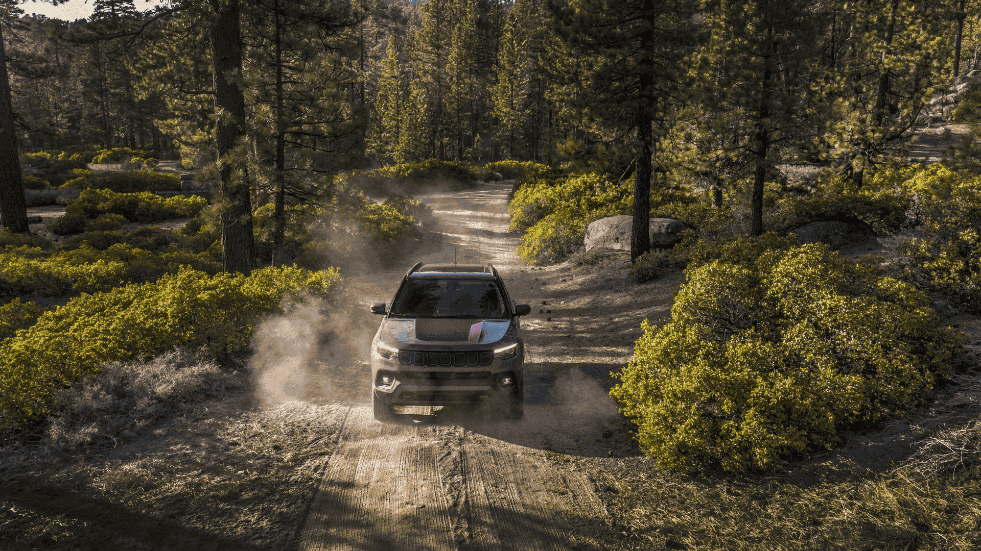 Overhead view of 2025 Jeep Compass Trailhawk kicking up dust on a rugged forest trail.
