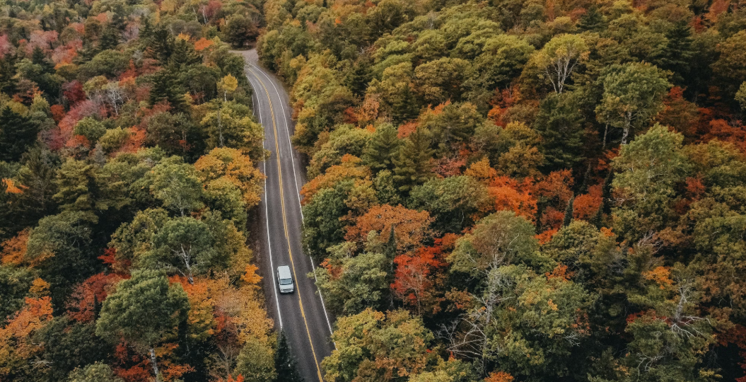 An aerial view of a road surrounded by trees