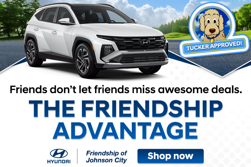 The Friendship Advantage