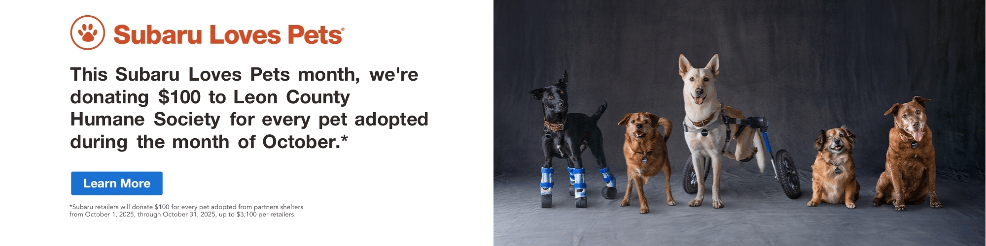 Subaru Loves Pets Adoption Event