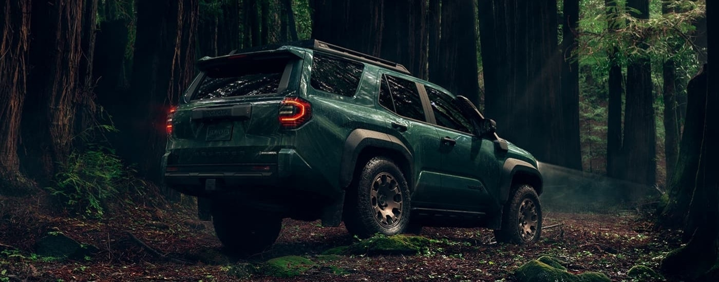 A green 2025 Toyota 4Runner Trailhunter parked in a forest