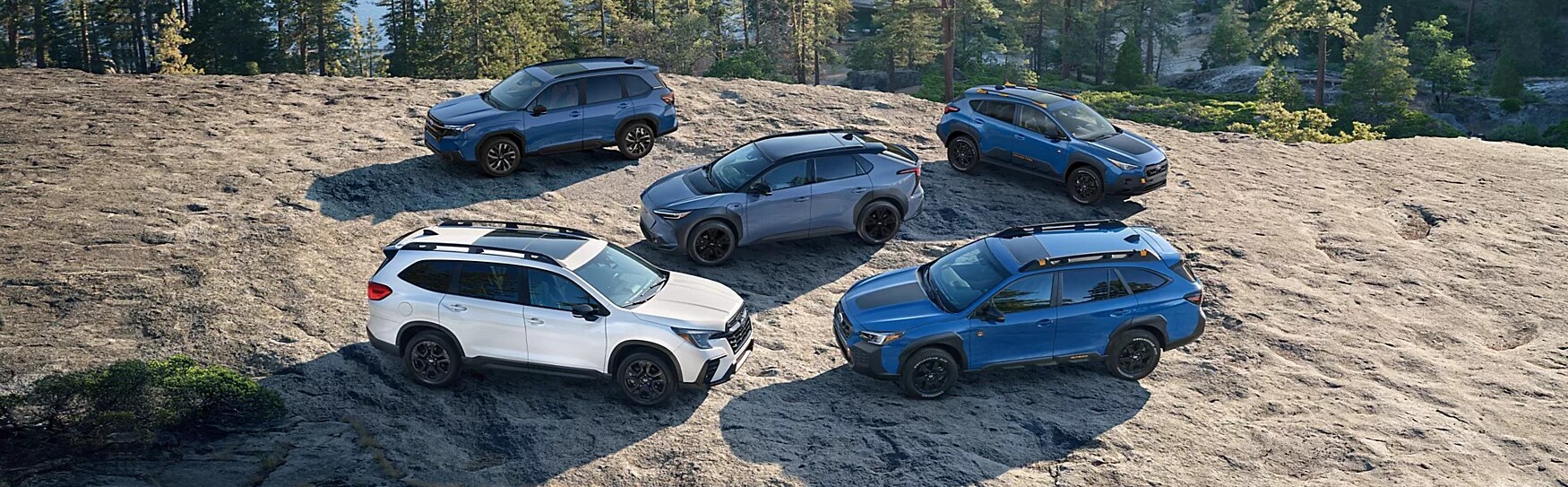 Lineup of Subaru Wilderness SUVs