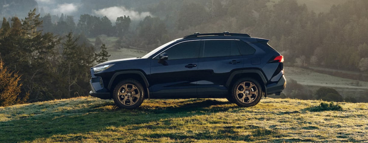 A side view of a black 2025 Toyota RAV4 SUV parked on a grassy hill

