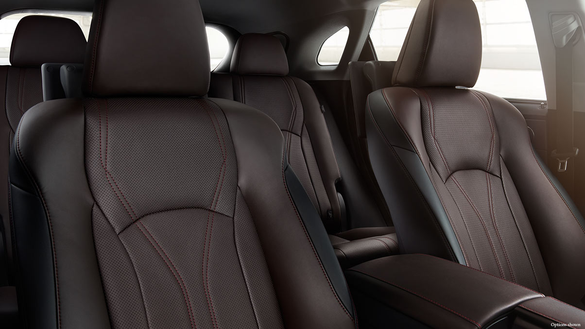 The Comfy Interior of the 2017 RX 350 is Cozy!