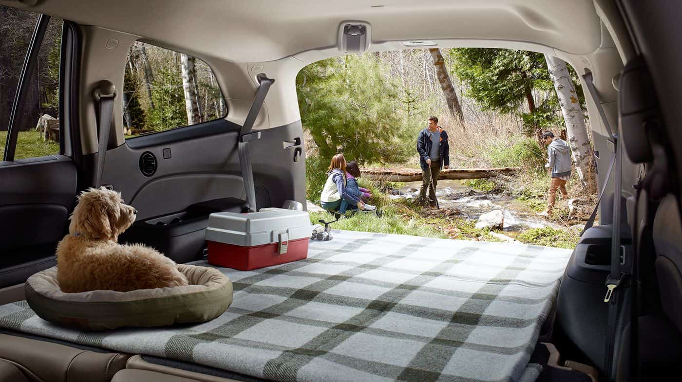 Vast Cargo Space in the Pilot