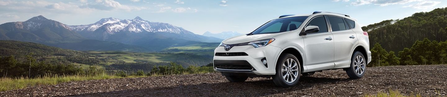 2017 Toyota RAV4 for Sale near Dekalb, IL