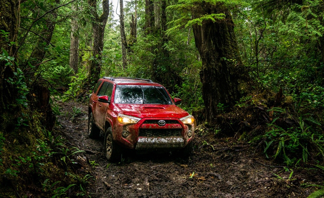 Used SUVs for Sale in Hattiesburg at Hattiesburg Cars