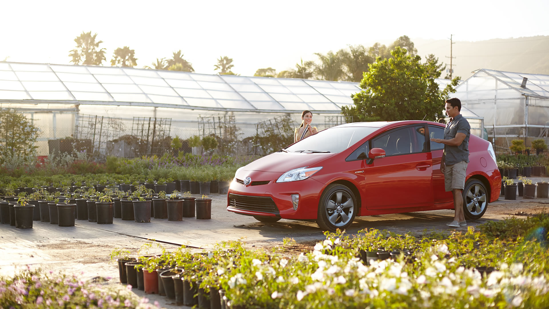 Toyota Hybrids for Sale in Auburn Doxon Toyota
