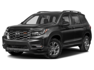 Photo of 2024 Passport