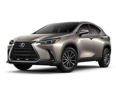 Rocker Panel | LEXUS NX 300 BASE - LUXURY 2021 Rocker Panel | LEXUS NX 300 BASE - LUXURY 2021