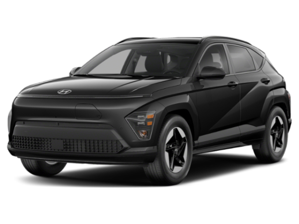 Electric kona for sale discount