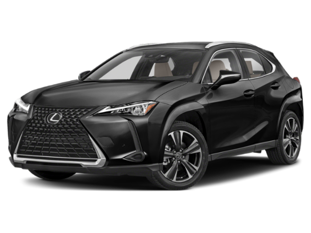 2024 Lexus UX 300h 250h Premium AWD's photo