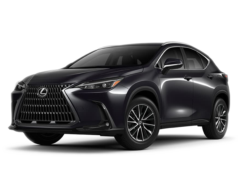 2022 Lexus NX 350's photo