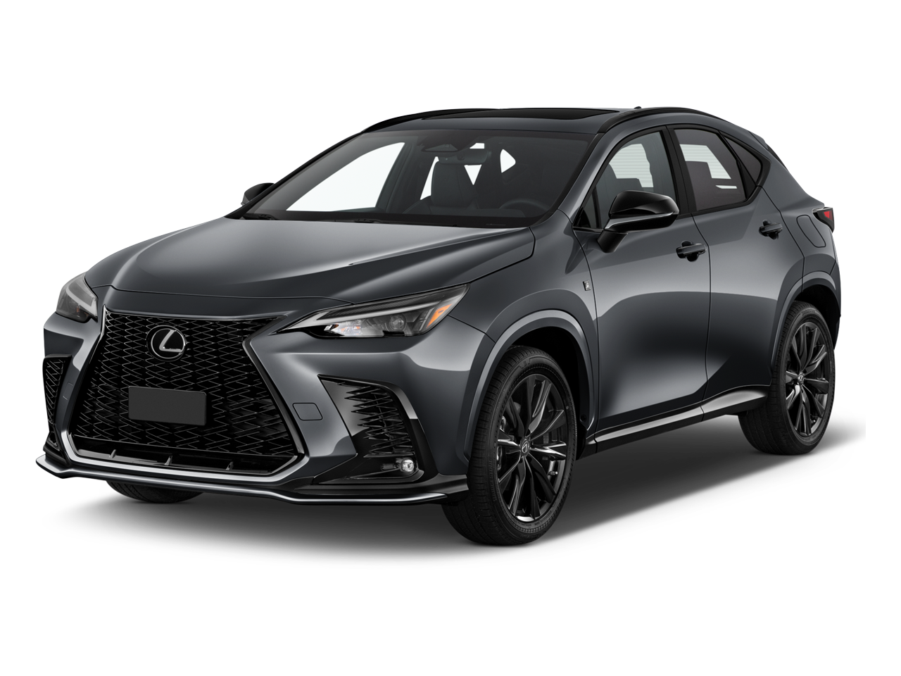 2024 Lexus NX 350's photo