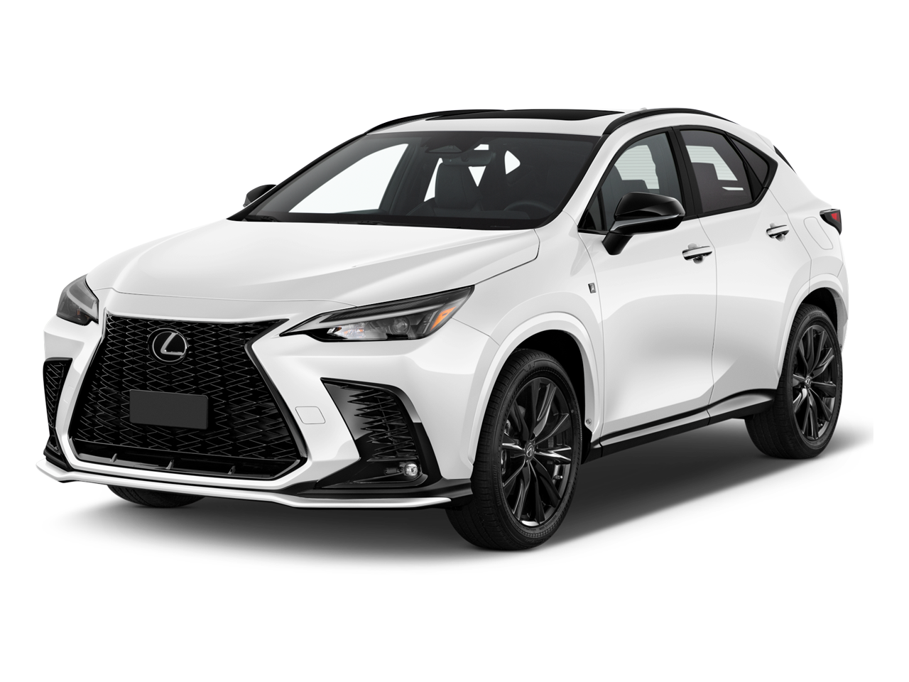 PreOwned Certified OneOwner 2024 Lexus NX 350 in Chattanooga, TN