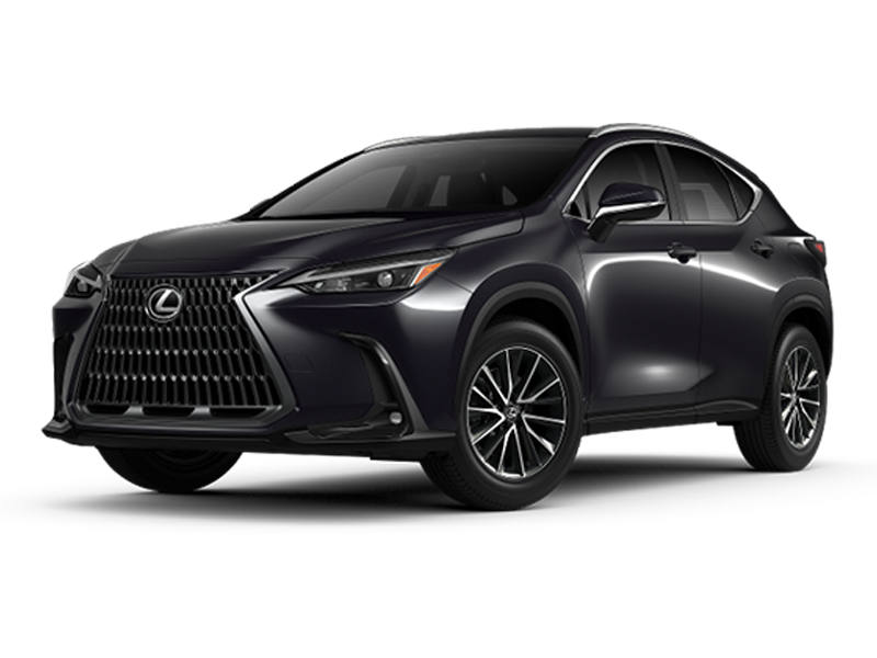 New 2024 Lexus NX 350h in Beverly Hills, CA Jim Falk Lexus of Beverly