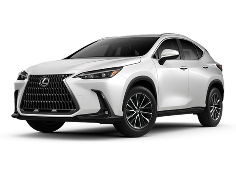Lexus Nx Colors 2025