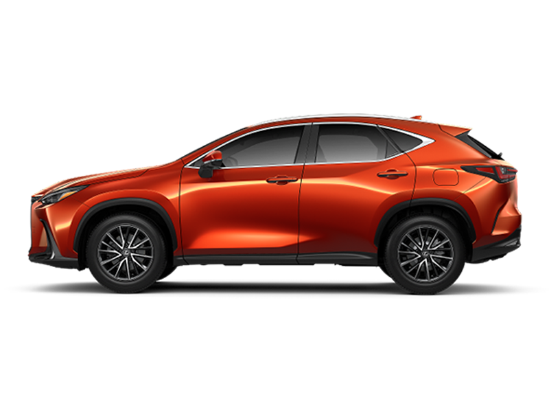 2024 Lexus NX 350h Premium photo 3