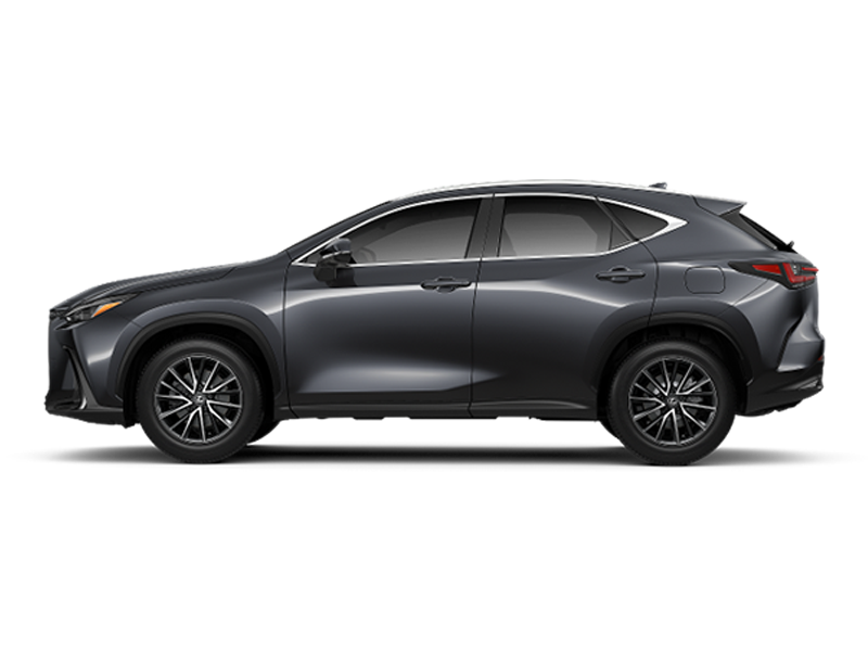2024 Lexus NX 350h Premium photo 2