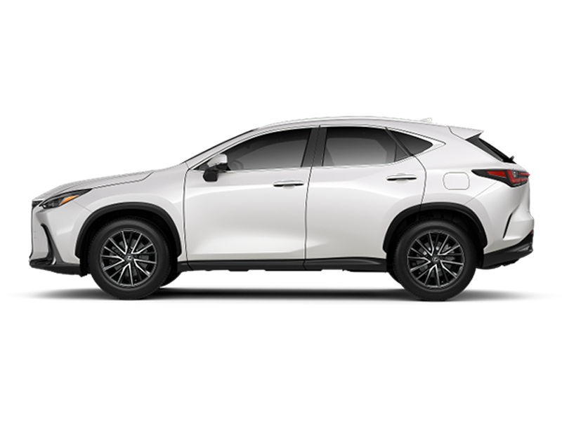 2024 Lexus NX 350h Premium photo 7