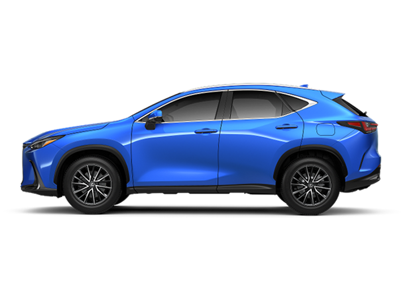 2024 Lexus NX 350h Premium photo 9