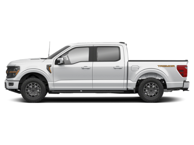 2025 Ford F-150 Platinum photo 3