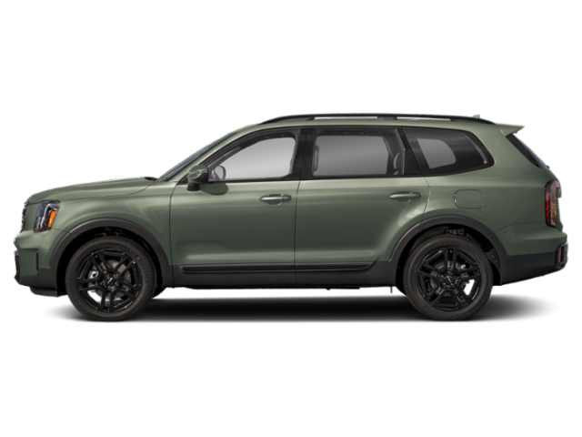2025 Kia Telluride EX X-Line photo 2