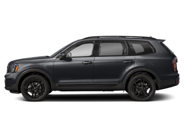 2025 Kia Telluride EX X-Line photo 2