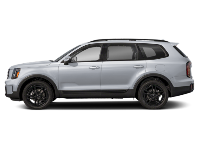 2025 Kia Telluride EX X-Line photo 2