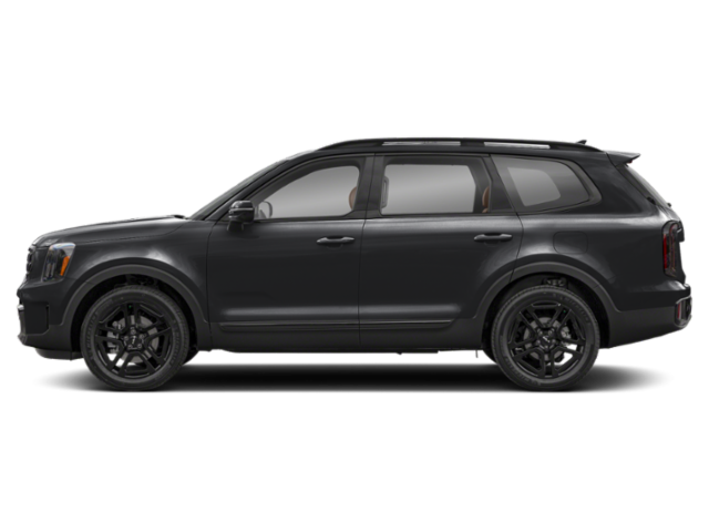 2025 Kia Telluride SX X-Line photo 2
