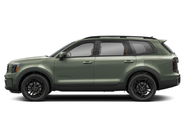 2025 Kia Telluride SX X-Line photo 2