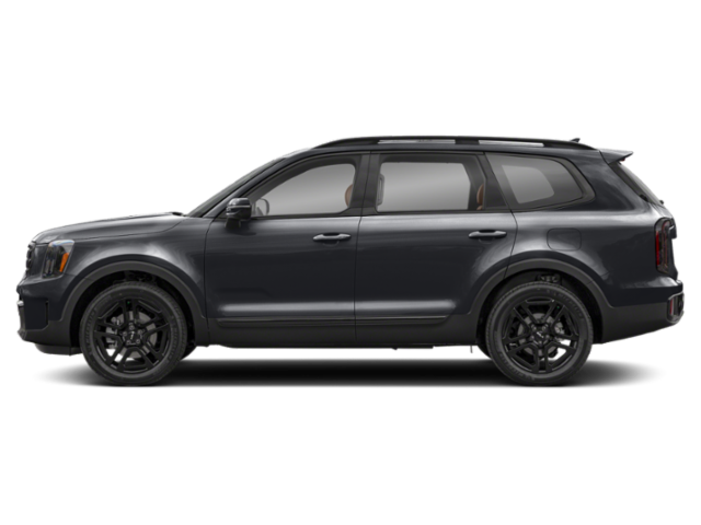 2025 Kia Telluride SX X-Line photo 2